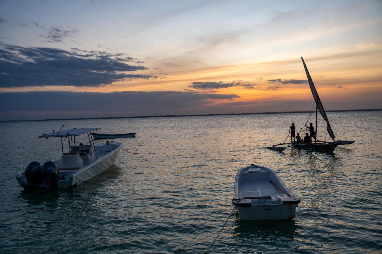 Horizon Of Michamvi Beach Zanzibar Luaran gambar