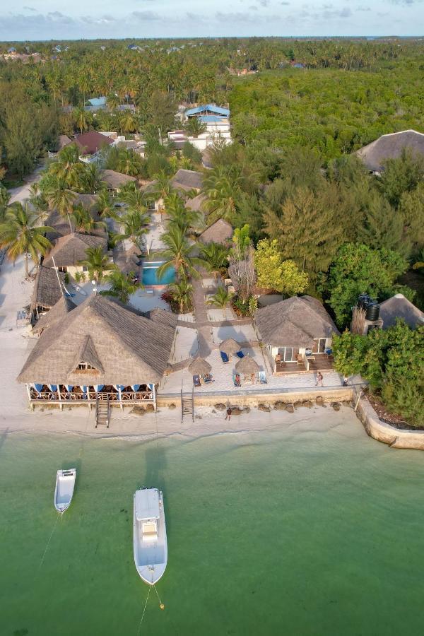 Horizon Of Michamvi Beach Zanzibar Luaran gambar